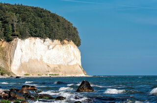 Kreidefelsen Rügen